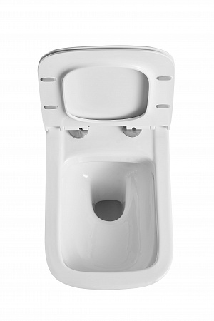 Подвесной унитаз Terminus Ното 550х350 белый Рубцовск - фото 6 Подвесной унитаз Terminus Ното 550х350 белый Рубцовск - фото 6