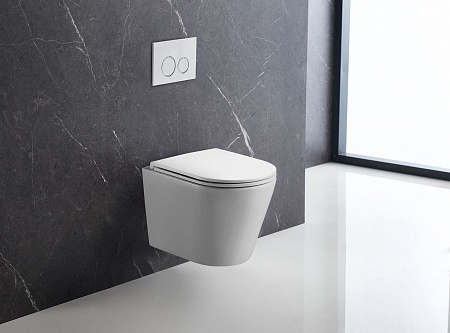 Подвесной унитаз безободковый Terminus Классик 540х365 белый Рубцовск - фото 1 Подвесной унитаз безободковый Terminus Классик 540х365 белый Рубцовск - фото 1