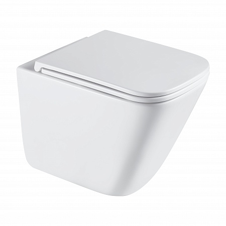 Подвесной унитаз безободковый Terminus Ватикан Монолит 490х340 белый Рубцовск - фото 2