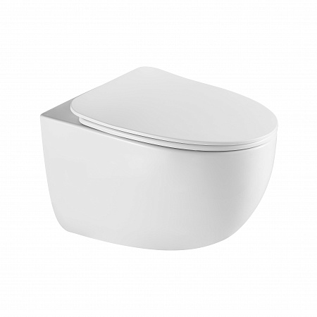 Подвесной унитаз безободковый Terminus Енисей Монолит 560х390 белый Рубцовск - фото 2