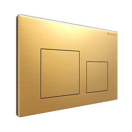 Клавиша смыва для инсталляции Terminus Классик кнопка квадрат цвет брашированное золото Рубцовск - фото 2 Клавиша смыва для инсталляции Terminus Классик кнопка квадрат цвет брашированное золото Рубцовск - фото 2