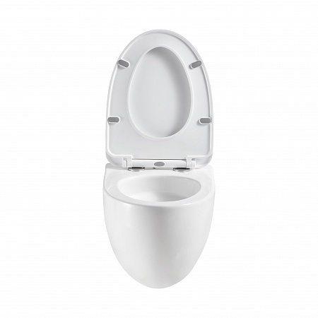 Подвесной унитаз безободковый Terminus Енисей Монолит 560х390 белый Рубцовск - фото 5