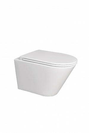 Подвесной унитаз безободковый Terminus Классик 540х365 белый Рубцовск - фото 5 Подвесной унитаз безободковый Terminus Классик 540х365 белый Рубцовск - фото 5