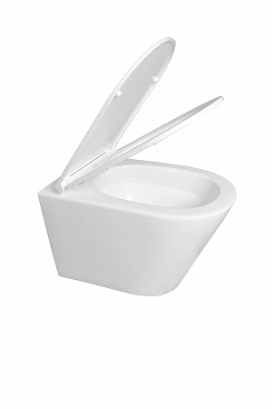 Подвесной унитаз безободковый Terminus Классик 540х365 белый Рубцовск - фото 7 Подвесной унитаз безободковый Terminus Классик 540х365 белый Рубцовск - фото 7