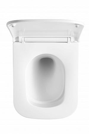 Подвесной унитаз безободковый Terminus Ватикан Монолит 490х340 белый Рубцовск - фото 3